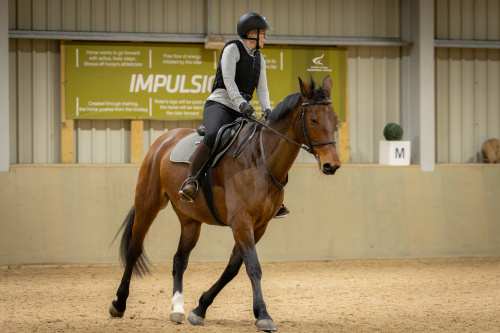 Derby College Equestrian